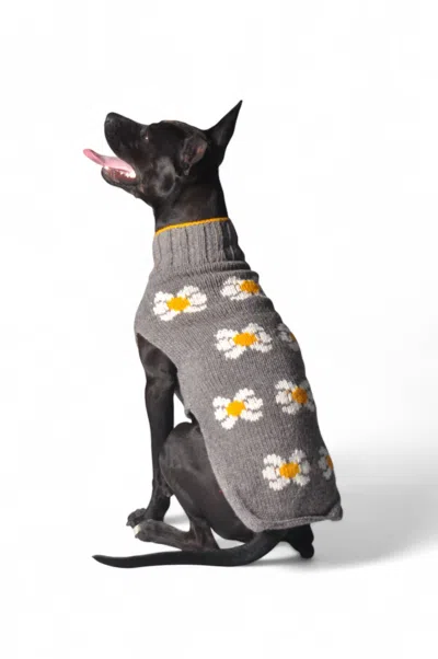 Chilly Dogs Daisy Dog Sweater In Gray