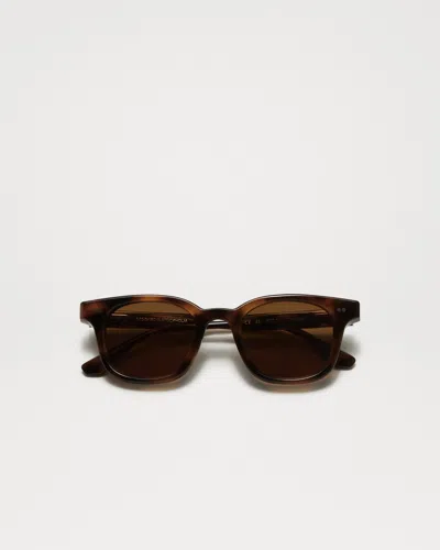 Chimi 02 Tortoise In Brown