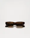 Chimi 10 Tortoise In Tortoise