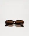 Chimi 12 Tortoise In Tortoise