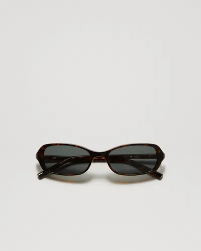 Chimi Code Tortoise In Brown