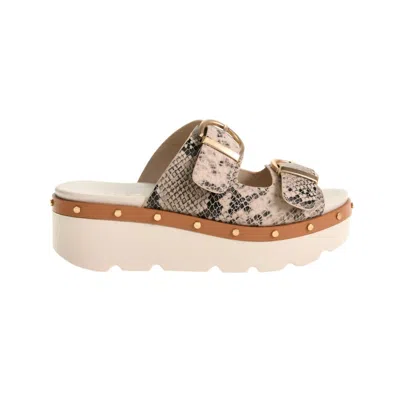 Chinese Laundry Women's Surfs Up Sandal In Snake Cream In Multi