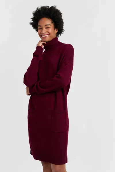 Chinti & Parker Claret Wool-cashmere Mini Rollneck Dress In Red