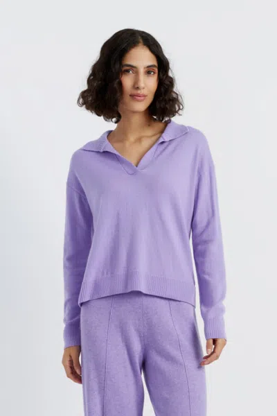 Chinti & Parker Lavender Wool-cashmere Collared Sweater In Purple
