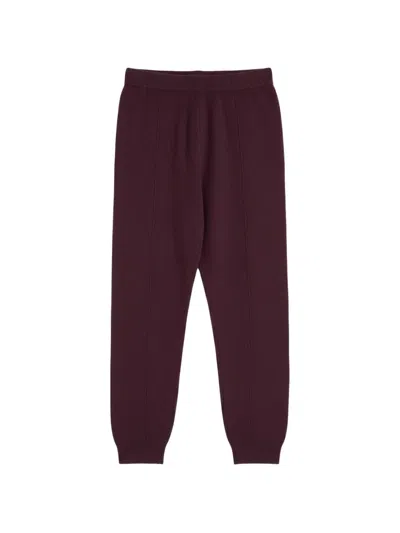 Chinti & Parker Seam-detail Cuffed Track Pants In Brown
