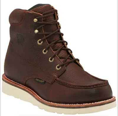 Pre-owned Chippewa Edge Walker 25342 6” Composite Toe Waterproof In Brown