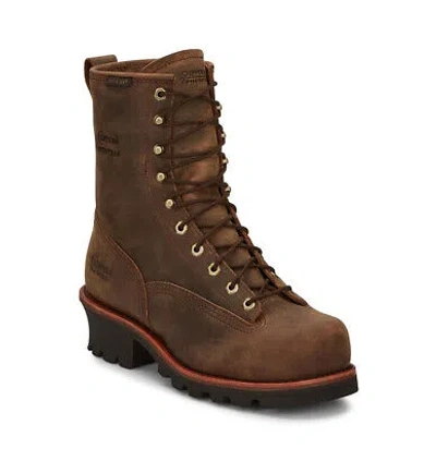 Pre-owned Chippewa Men's 8" Paladin Logger Lace-to-toe Waterproof Insulated Steel Toe Boo In Brown