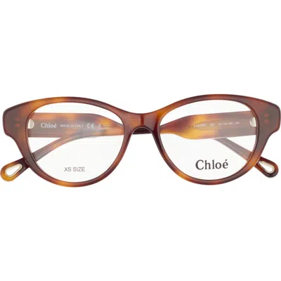 Chloé 50mm Cat Eye Optical Glasses In Brown