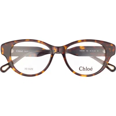 Chloé 50mm Cat Eye Optical Glasses In Havana Havana Transparent