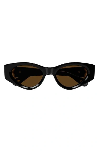 Chloé Ch0259s Cat Eye Acetate Sunglasses In Black