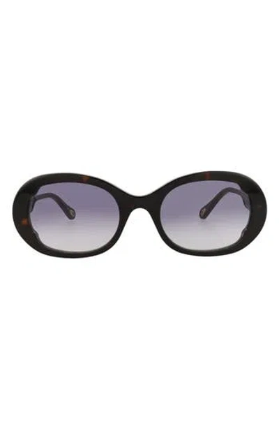 Chloé 53mm Oval Sunglasses In Blue