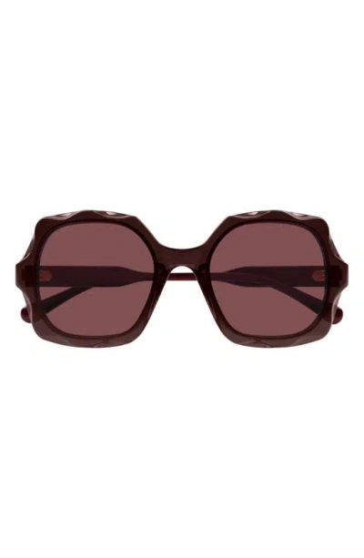 Chloé Womens Purple Ch0226s Square-frame Acetate Sunglasses In Brown-brown-copper