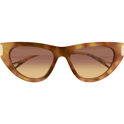 Chloé 54mm Cat Eye Sunglasses In Brown