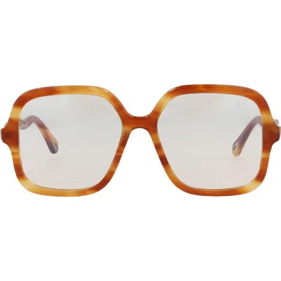 Chloé 54mm Core Square Sunglasses In Havana Havana Transparent