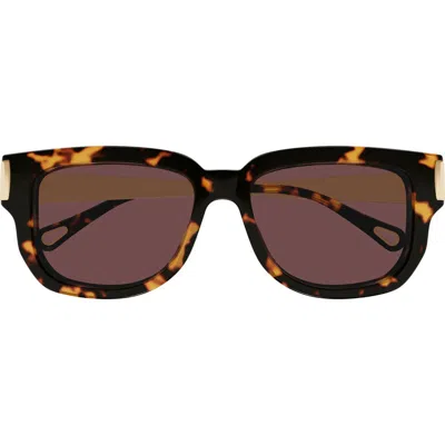 CHLOÉ CHLOÉ 54MM RECTANGULAR SUNGLASSES