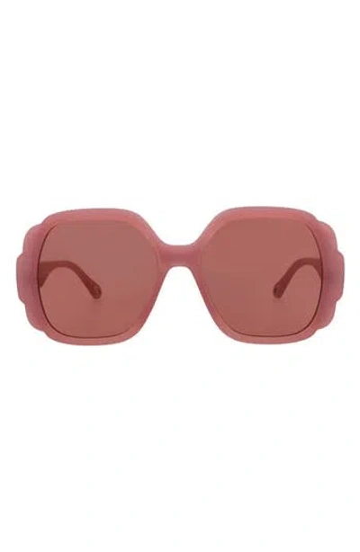 Chloé 55mm Butterfly Sunglasses In Burgundy