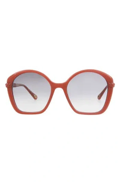 Chloé 55mm Chloe Core Sunglasses In Gray