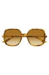 Chloé Judy Round-frame Tortoiseshell Acetate Sunglasses In Brown