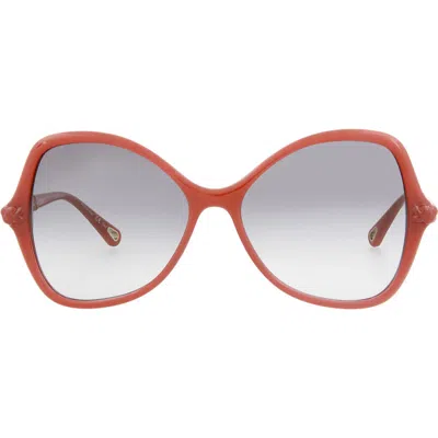 Chloé 56mm Chloe Core Sunglasses In Orange Orange Grey