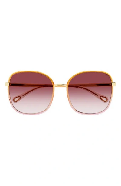 Chloé 56mm Gradient Polarized Square Sunglasses In Burgundy