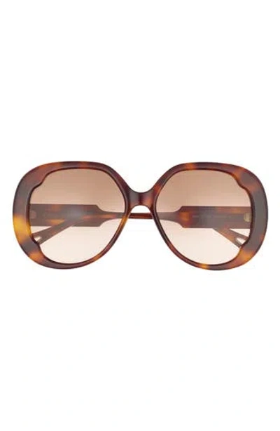 Chloé 56mm Round Sunglasses In Brown