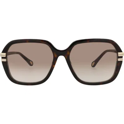 Chloé 57mm Oversize Sunglasses In Green
