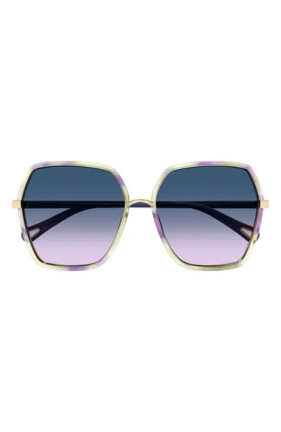 Chloé 58mm Gradient Square Sunglasses In Havana