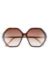 Chloé 58mm Oversized Core Sunglasses In Havana Brown Brown