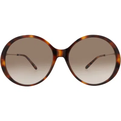 Chloé 58mm Round Sunglasses In Brown