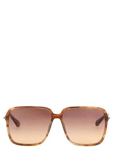 Chloé '59' Sunglasses In Brown