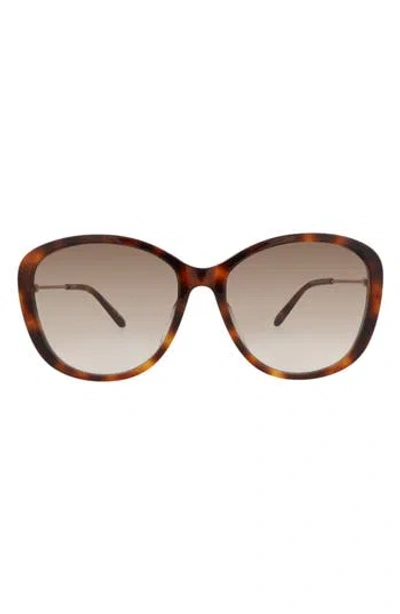 Chloé 59mm Square Gradient Sunglasses In Brown