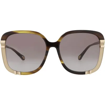 Chloé 59mm Square Sunglasses In Brown