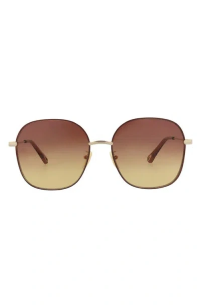 Chloé 59mm Square Sunglasses In Multi