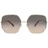 Chloé 60mm Butterfly Sunglasses