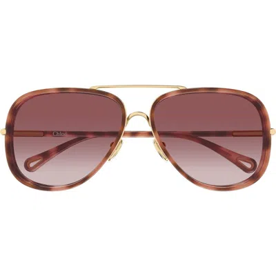 Chloé 60mm Gradient Navigator Sunglasses In Brown
