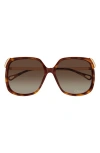 Chloé Ch0286s Round Acetate Sunglasses In Havana