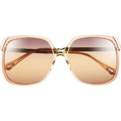 Chloé 60mm Oversize Square Sunglasses In Orange