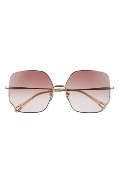 Chloé 60mm Square Gradient Sunglasses In Pink