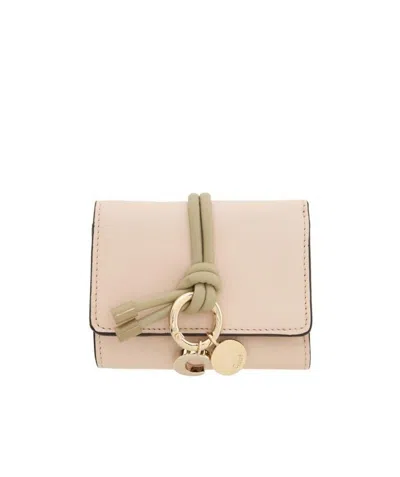Chloé Trifold Wallet In Nude
