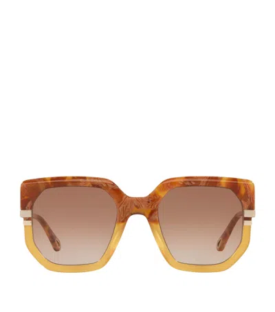 CHLOÉ ACETATE CH0240S SUNGLASSES