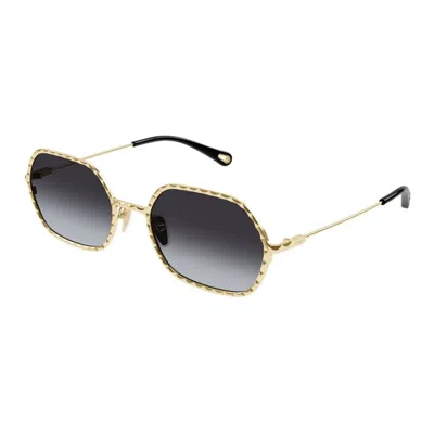 Chloé Acetate Gold Sunglasses In Brown