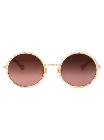 CHLOÉ CHLOÉ ACETATE GOLD SUNGLASSES