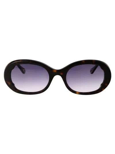 Chloé Acetate Havana Sunglasses