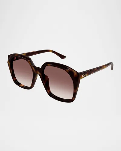 Chloé Acetate Round Sunglasses In Havana