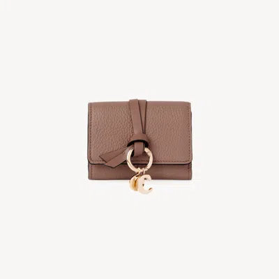 Chloé Alphabet Small Tri-fold Wallet In Brown