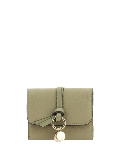 Chloé Alphabet Wallet In Pottery Green