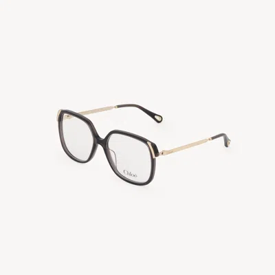 Chloé Aly Eyeglasses In Multi