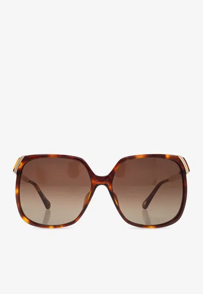 Chloé Aly Oversized Square Sunglasses In Brown