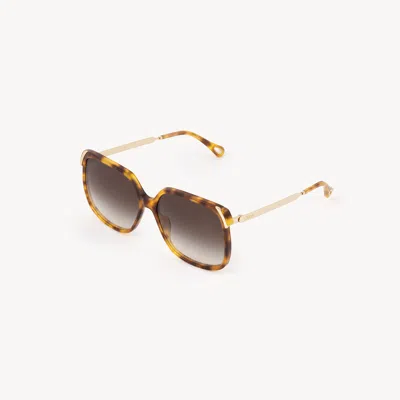 Chloé Aly Sunglasses In Brown