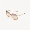 Chloé Aly Square-frame Acetate And Gold-tone Sunglasses
